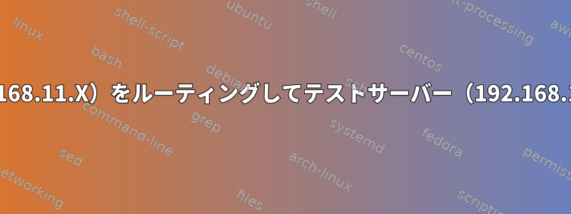 複数の仮想IP（192.168.11.X）をルーティングしてテストサーバー（192.168.10.246）に接続する