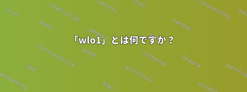 「wlo1」とは何ですか？