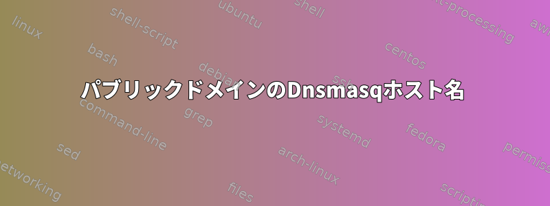 パブリックドメインのDnsmasqホスト名