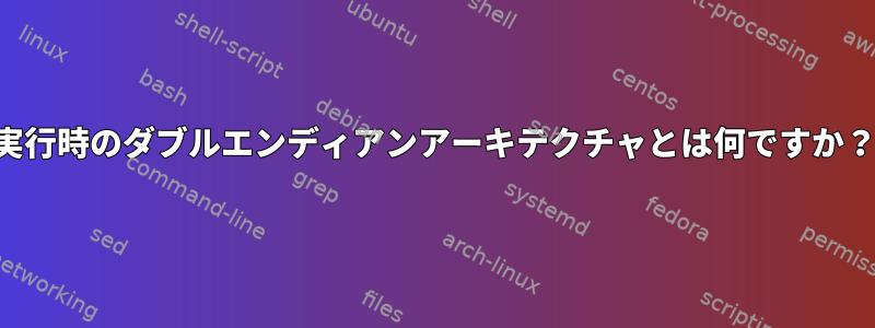 実行時のダブルエンディアンアーキテクチャとは何ですか？