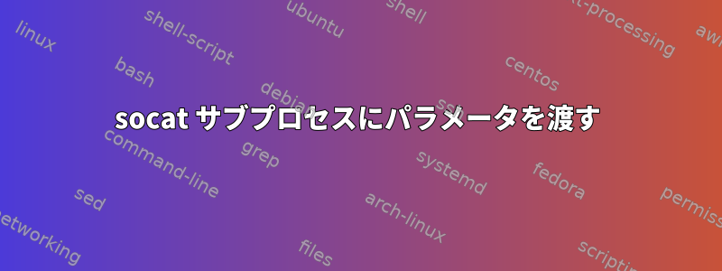 socat サブプロセスにパラメータを渡す