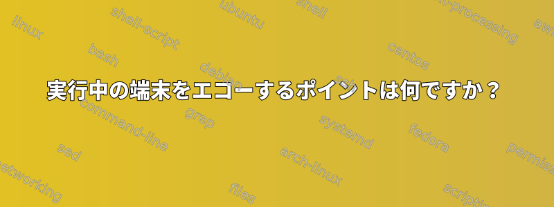 実行中の端末をエコーするポイントは何ですか？