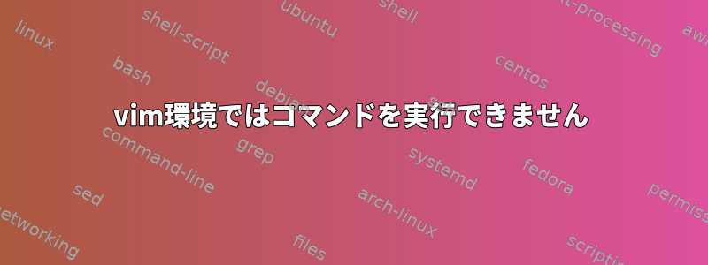 vim環境ではコマンドを実行できません