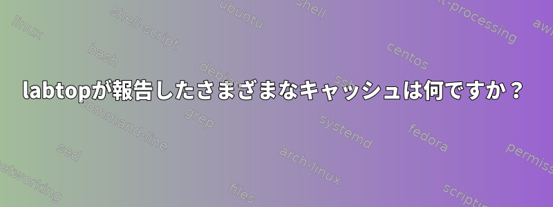 labtopが報告したさまざまなキャッシュは何ですか？