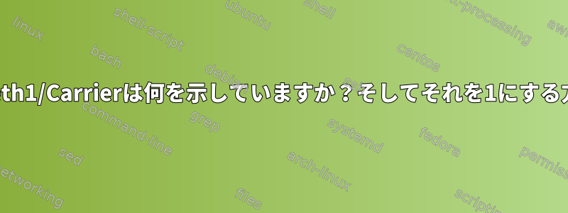 /sys/class/net/eth1/Carrierは何を示していますか？そしてそれを1にする方法は何ですか？