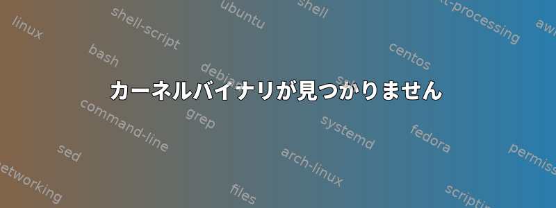 カーネルバイナリが見つかりません