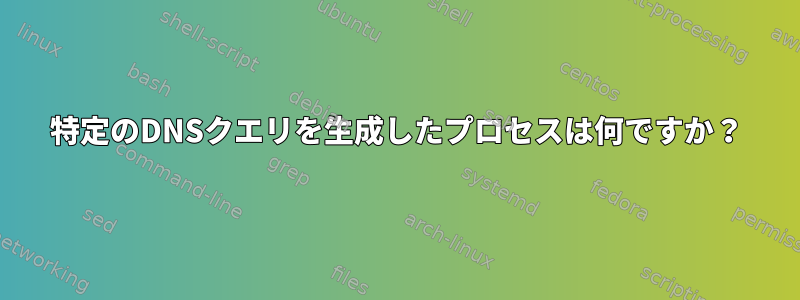 特定のDNSクエリを生成したプロセスは何ですか？