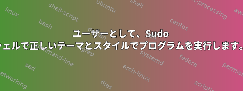 ユーザーとして、Sudo シェルで正しいテーマとスタイルでプログラムを実行します。