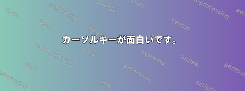 カーソルキーが面白いです。