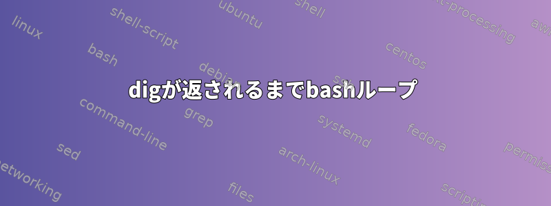 digが返されるまでbashループ