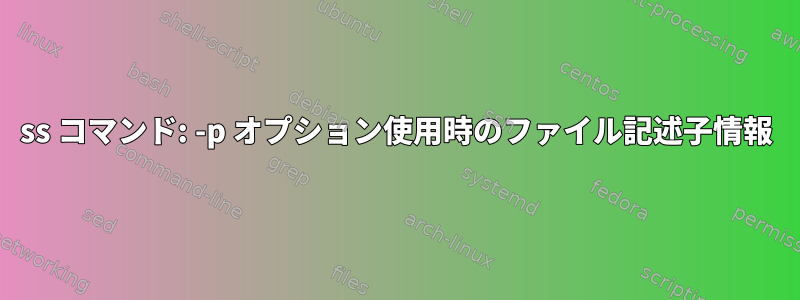 ss コマンド: -p オプション使用時のファイル記述子情報