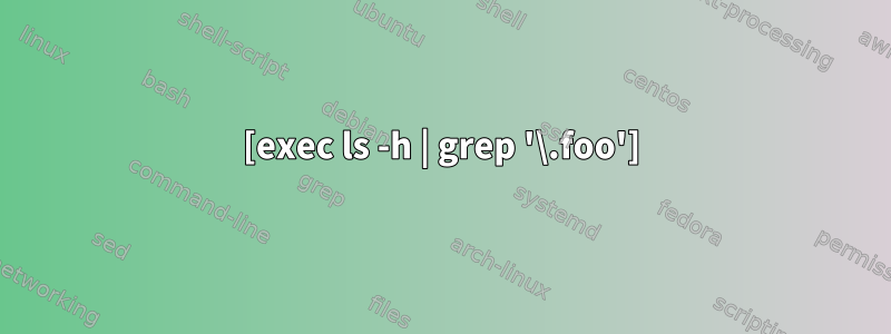 [exec ls -h | grep '\.foo']