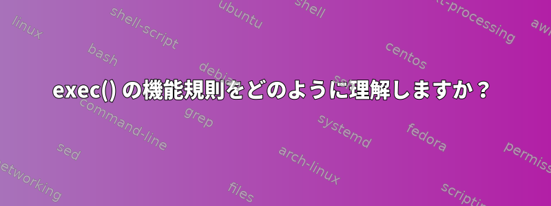 exec() の機能規則をどのように理解しますか？