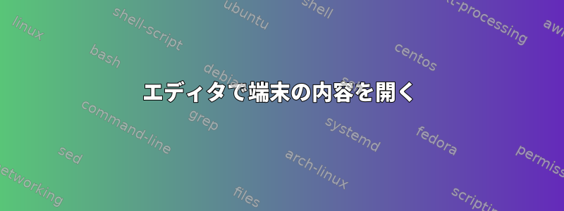 エディタで端末の内容を開く