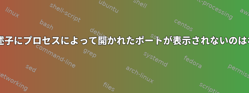 ファイル記述子にプロセスによって開かれたポートが表示されないのはなぜですか?