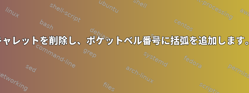 キャレットを削除し、ポケットベル番号に括弧を追加します。