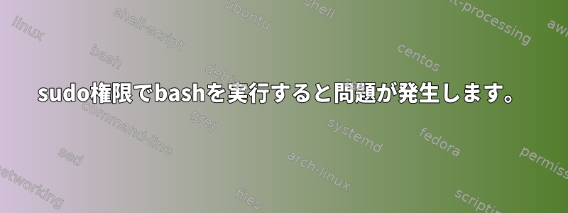 sudo権限でbashを実行すると問題が発生します。