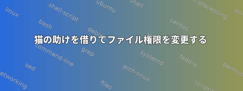 猫の助けを借りてファイル権限を変更する