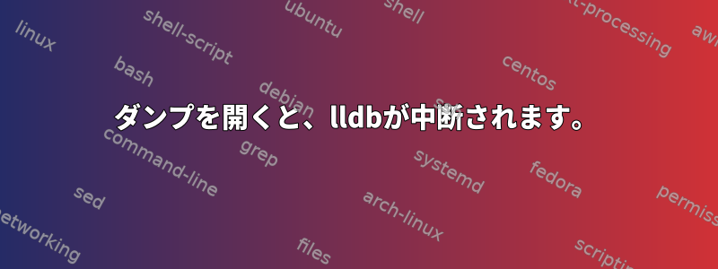 ダンプを開くと、lldbが中断されます。