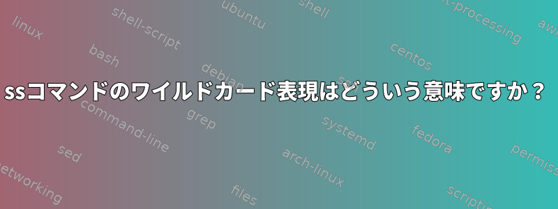 ssコマンドのワイルドカード表現はどういう意味ですか？