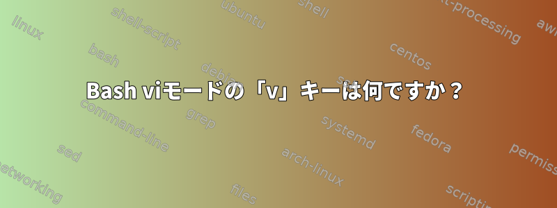 Bash viモードの「v」キーは何ですか？