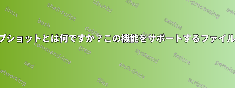 ファイルレベルのスナップショットとは何ですか？この機能をサポートするファイルシステムはありますか？