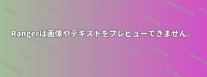 Rangerは画像やテキストをプレビューできません。