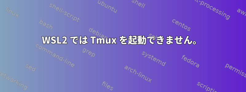 WSL2 では Tmux を起動できません。