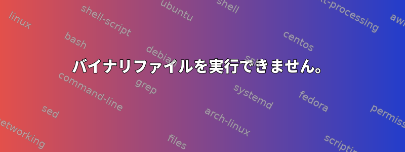 バイナリファイルを実行できません。