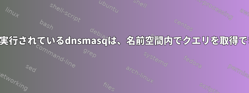 名前空間で実行されているdnsmasqは、名前空間内でクエリを取得できません。