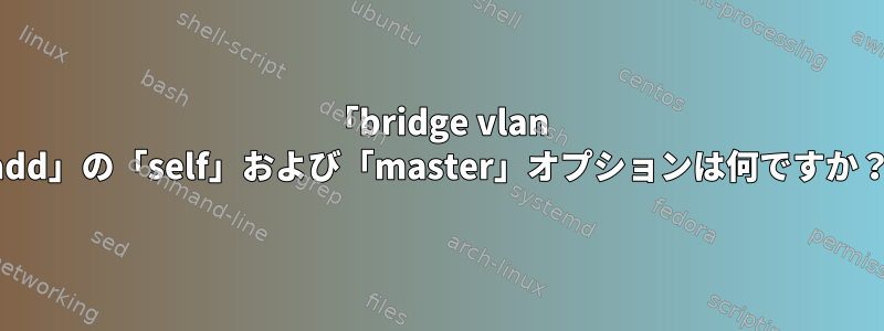 「bridge vlan add」の「self」および「master」オプションは何ですか？