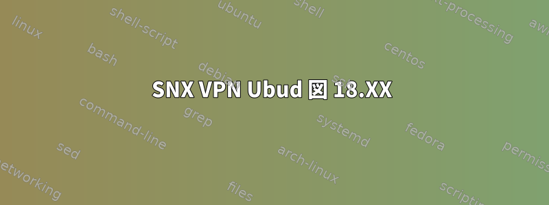 SNX VPN Ubud 図 18.XX