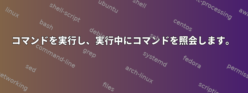 コマンドを実行し、実行中にコマンドを照会します。