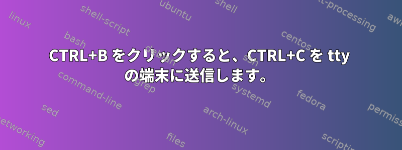 CTRL+B をクリックすると、CTRL+C を tty の端末に送信します。