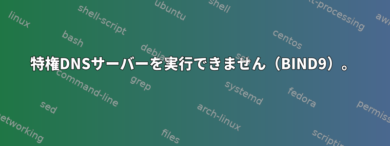 特権DNSサーバーを実行できません（BIND9）。