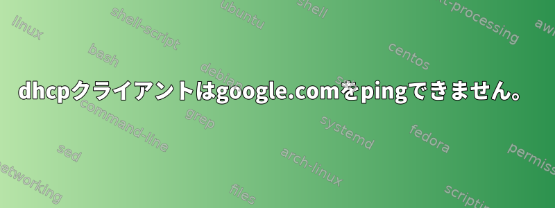 dhcpクライアントはgoogle.comをpingできません。