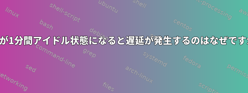 NFSが1分間アイドル状態になると遅延が発生するのはなぜですか？