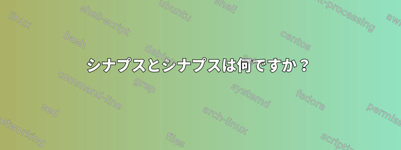 シナプスとシナプスは何ですか？