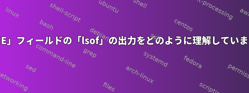 「NAME」フィールドの「lsof」の出力をどのように理解していますか？