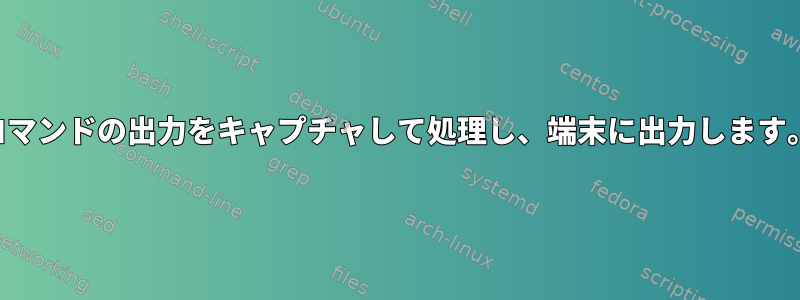 コマンドの出力をキャプチャして処理し、端末に出力します。