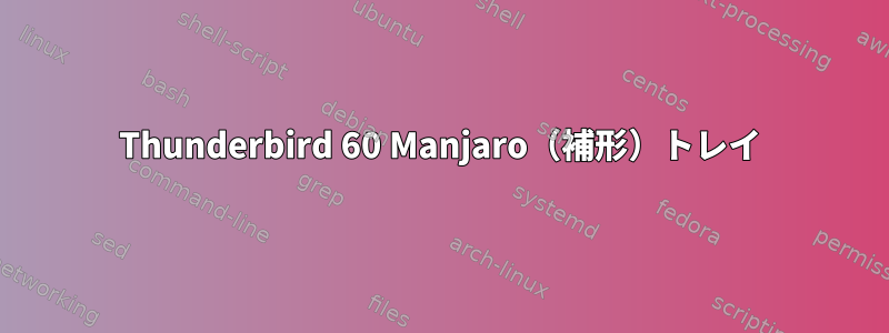 Thunderbird 60 Manjaro（補形）トレイ