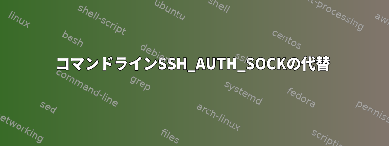 コマンドラインSSH_AUTH_SOCKの代替