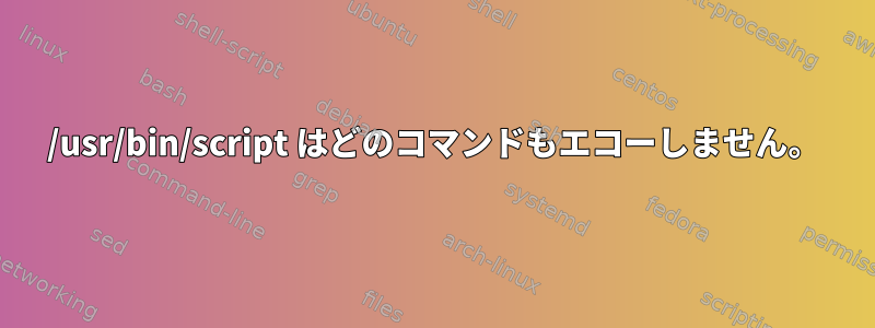 /usr/bin/script はどのコマンドもエコーしません。