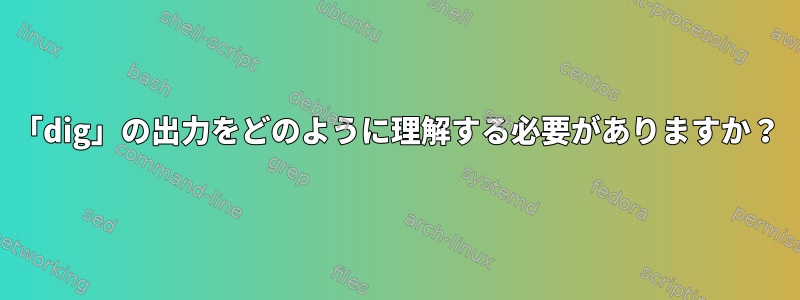 「dig」の出力をどのように理解する必要がありますか？