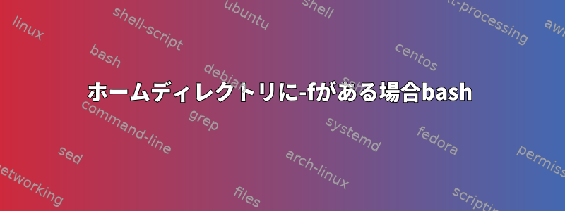 ホームディレクトリに-fがある場合bash