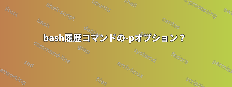 bash履歴コマンドの-pオプション？