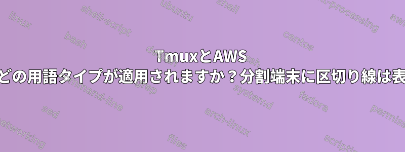 TmuxとAWS SSMには実際にどの用語タイプが適用されますか？分割端末に区切り線は表示されません。