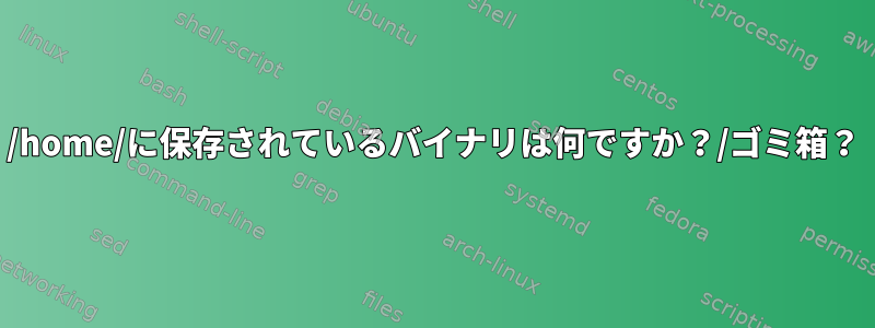 /home/に保存されているバイナリは何ですか？/ゴミ箱？