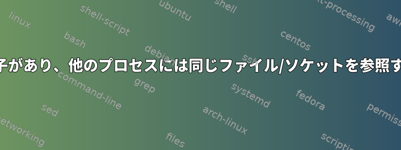 あるプロセスには非ブロック記述子があり、他のプロセスには同じファイル/ソケットを参照するブロック記述子がありますか？