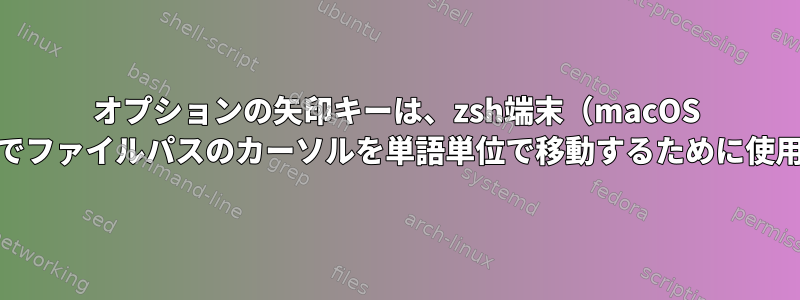 オプションの矢印キーは、zsh端末（macOS Catalina）でファイルパスのカーソルを単語単位で移動するために使用されます。